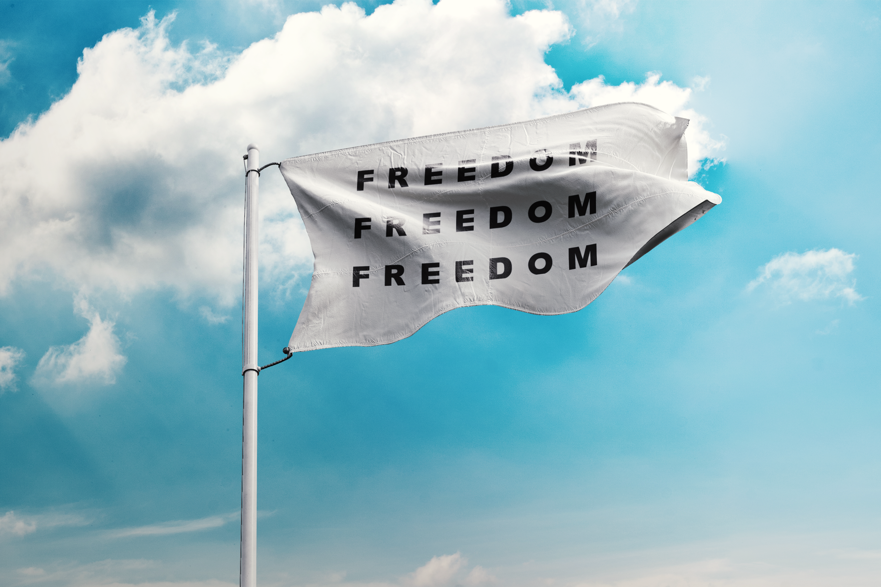 Triple Freedom Flag — Repeating Black Text Design