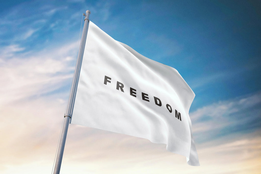 White flag with 'FREEDOM' text against a blue sky