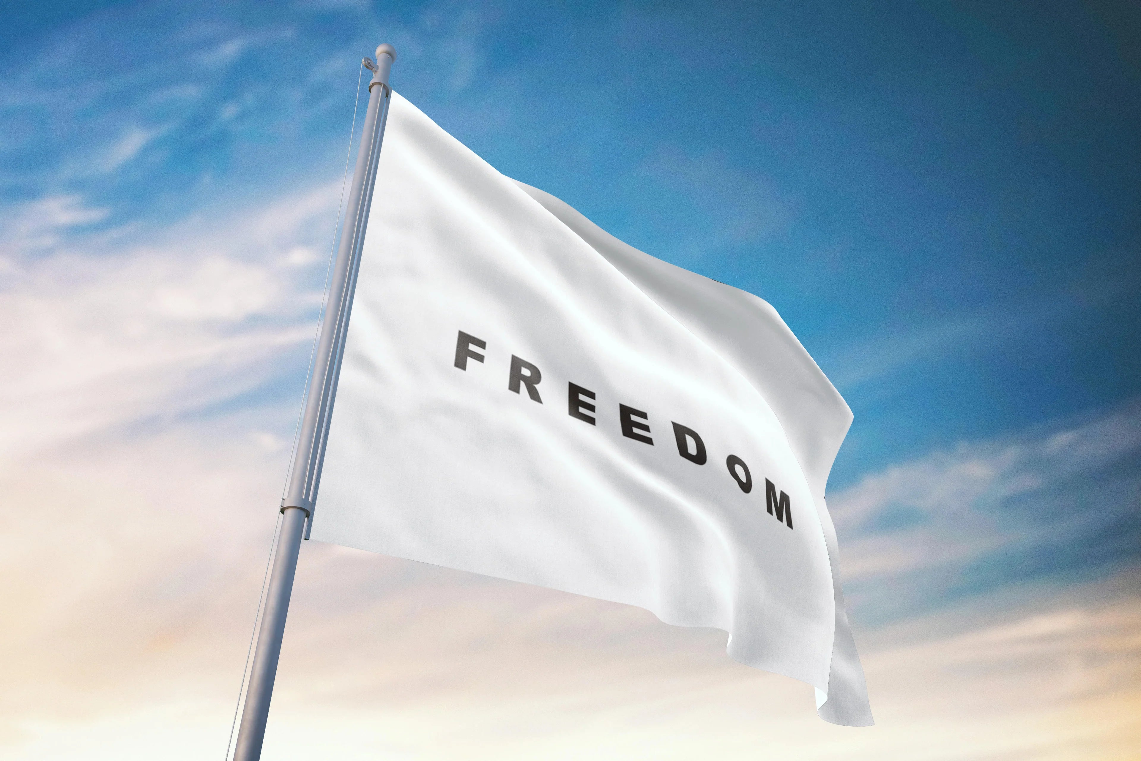 White flag with 'FREEDOM' text against a blue sky